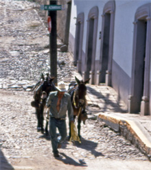 Cowboy walking horses up quiet street in Batopilas